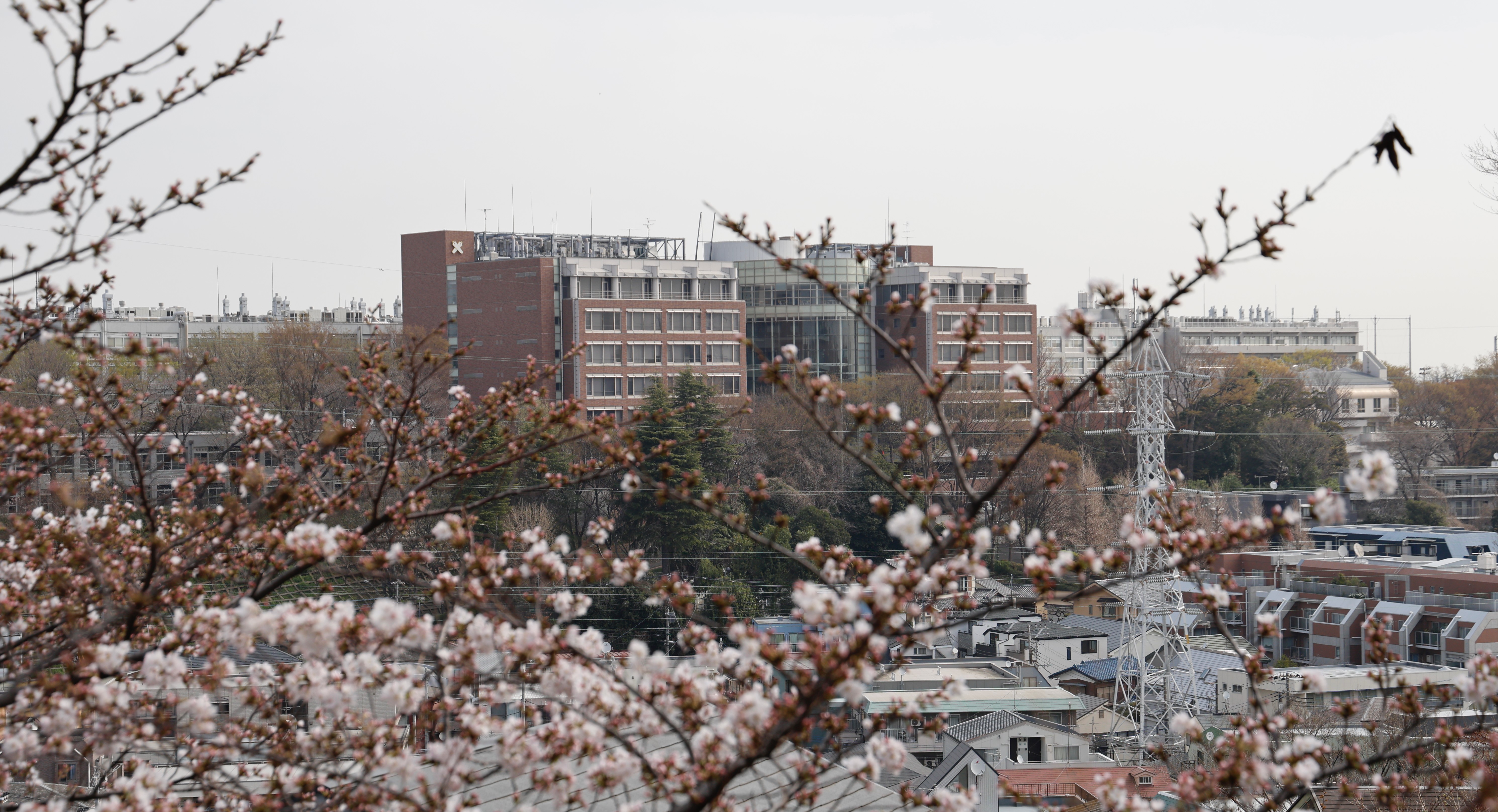 Experiment Photo